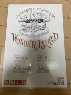 LIL LEAGUE リーフレット　wonder island