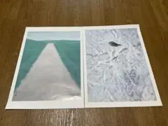 このろの風景　読売新聞　東山魁夷　生誕100年