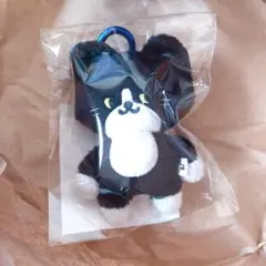 2025年最新】イェソン ぬいぐるみの人気アイテム - メルカリ