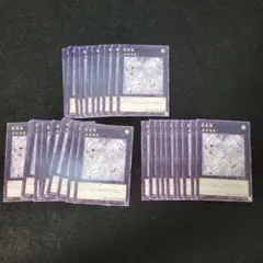 ◉30枚セット◉竜巻竜 N30