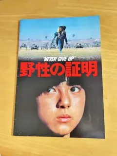 2026年最新】映画パンフレットまとめ売りの人気アイテム - メルカリ