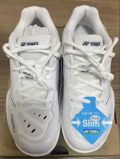 Item thumbnail for item 81db8736-aa3e-4a74-8b46-6479004c34df