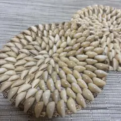貝殻 鍋敷き 2枚セットのサムネイル