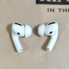 Apple AirPods Pro 両耳のみ LR 939のサムネイル