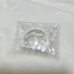 Item thumbnail for item 5d307f02-8d21-4744-b344-c2cabd4d81cb