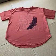 G-FIT 半袖 Tシャツ ピンク Mサイズのサムネイル