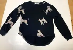 Item thumbnail for item 1a0fade8-4433-4baa-a2e1-d930b20ec096