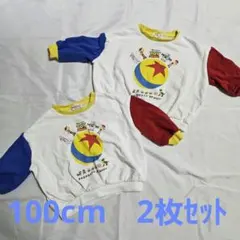 ディズニー　DISNEY　mewoo トイストーリー 100cm 2枚セット