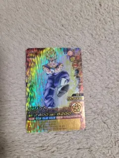 ベジット トレーディングカード 270-IV