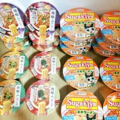 【アミューズメントラーメン】寿がきやピリ辛ネギラーメン10個&麺職人3種類10個のサムネイル