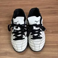 Mizuno モナルシーダネオ 21.5