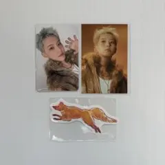 SEVENTEEN セブチ 2026 シーグリ ホシ