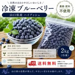糖度17%☆本州クール送料込み【激レア ハニーローザ入り】旬の果実 