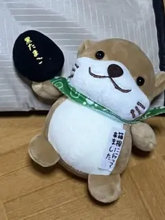 まいど様専用 3日以内によろしくお願いいたします૮ •͈ ·̫ •͈ ა