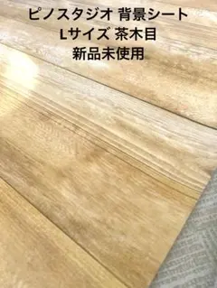 Item thumbnail for item 0fc13bf5-45c9-4840-b28d-9e09d88fc352