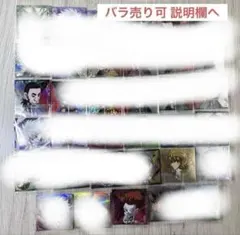 専用 13サッチョウ、29パリストン、33ヒソカ