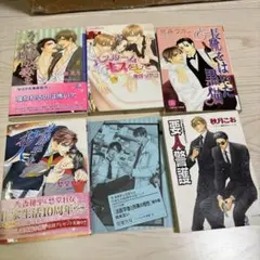BL小説セット 5冊 秋月こお 秀堂れな 山田ユギ