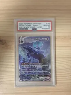 CGC10 PRISTINE｜こくばバドレックスVmax SA｜PSA10以上 PSA10】はくばバドレックスVMAX HR 085/070の通販 土日祝休@magi