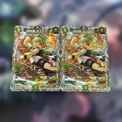 ブ*ゼ様 コードオーダー メロンパフェ SSR 2枚 - メルカリ
