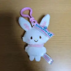 ウィッシュメール サンリオキャラクター大賞 2026 マスコット キーホルダー