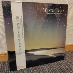 2025年最新】浜田省吾 WASTED TEARSの人気アイテム - メルカリ