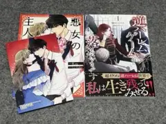 韓国フルカラー漫画2冊セット