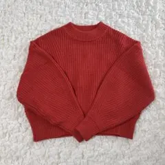 GREEN LABEL RELAXING レッドニット