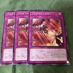 遊戯王　ドラグマトゥルギー　3枚　ノーマル