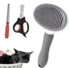 Item thumbnail for item 806decb8-c01c-4506-817b-217d9a3838d2