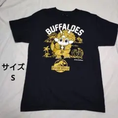 Item thumbnail for item c913f0b4-e5f7-4fad-a673-8464a7c15d4d