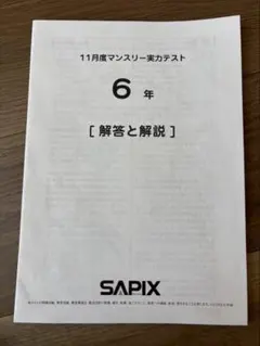 2025年最新】サピックス 11月マンスリーの人気アイテム - メルカリ