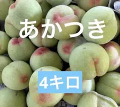 若桃　摘果桃　資材込み約4kgのサムネイル