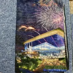 T-Tam様 リクエスト 2点 まとめ商品