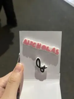 &team POPUP NICHOLASパーツ