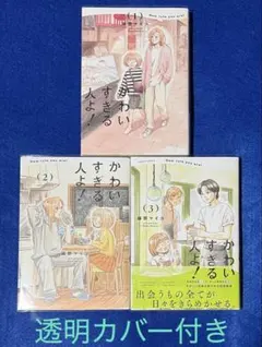 かわいすぎる人よ! 1〜3巻