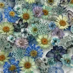 ドライフラワー 小花の詰め合わせ 496 ドライフラワー 小花の詰め合わせ 496 - メルカリ