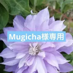 215 ＊Mugicha様 リクエスト 2点 まとめ商品