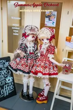 ディーラー様製 ドルフィードリーム MDD ドール服 MELODY.C ピンク ドール服 MELODY.C様製(紫トータルセット) - メルカリ