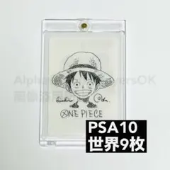 PSA 鑑定向け 素体 ルフィ 尾田先生 イラスト サイン ナツコミ 2022