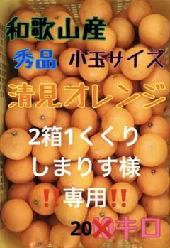 ■しまりす様 和歌山産 清見オレンジ 小玉サイズ 2箱ひとくくり■