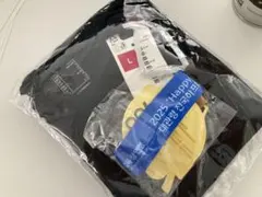 韓国江原道2025大関嶺全国ハーフマラソン大会完走メダルと参加記念シャツ