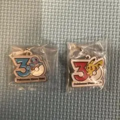 ポケモン　30周年メタルチャーム　2個セット