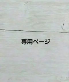 ✩.*˚専用ページ✩.*˚