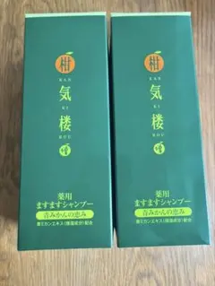 Item thumbnail for item 4e3e09c2-1759-4486-ac89-0c6f07fd957c