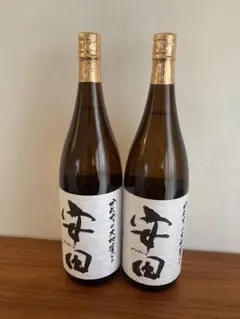 Item thumbnail for item f75738f3-f3dd-41c6-9025-28513121f9d2