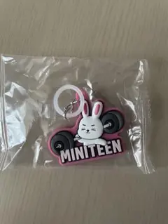 miniteen めじるしアクセサリー エスクプス　チェチェリ