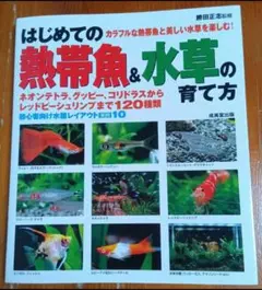 はじめての熱帯魚&水草の育て方