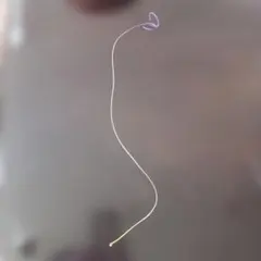 Item thumbnail for item 2c54f80f-d2d0-4607-969c-04cd636e7ab4