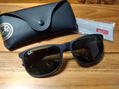 Ray-Ban マットブラック サングラス　RB 4202-F ANDY