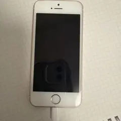 iPhone SE 第1世代